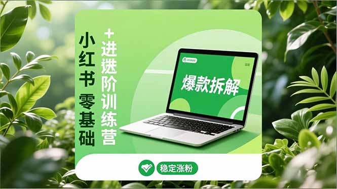 小红书零基础+高阶训练营：安全养号、爆款拆解、长效运营，实现稳定涨粉与变现-A7徐多钱云网创