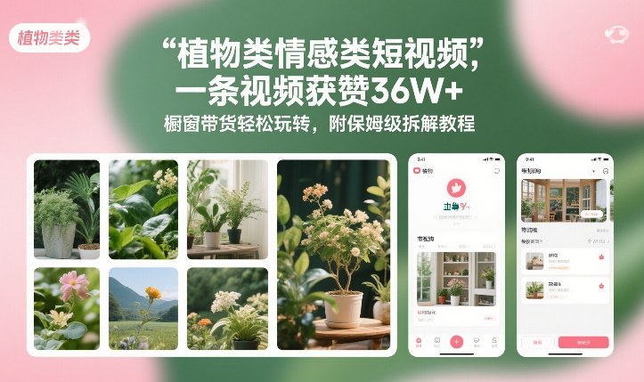 植物类情感类短视频，一条视频获赞36W+，橱窗带货轻松玩转，附保姆级拆解教程-A7徐多钱云网创