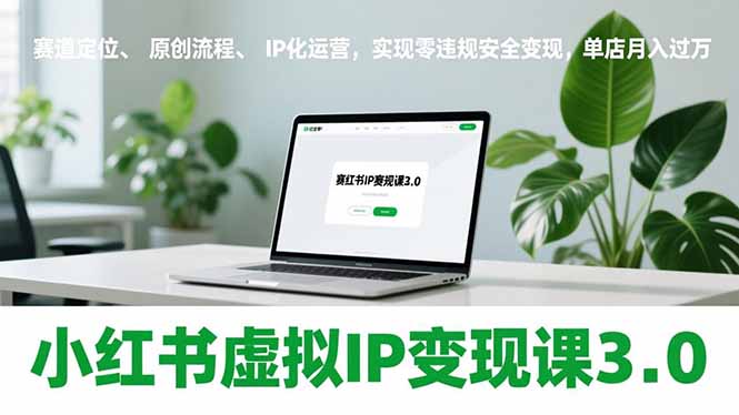 小红书虚拟IP变现课3.0，赛道定位、原创流程、IP化运营，实现零违规安全变现，单店月入过万-A7徐多钱云网创