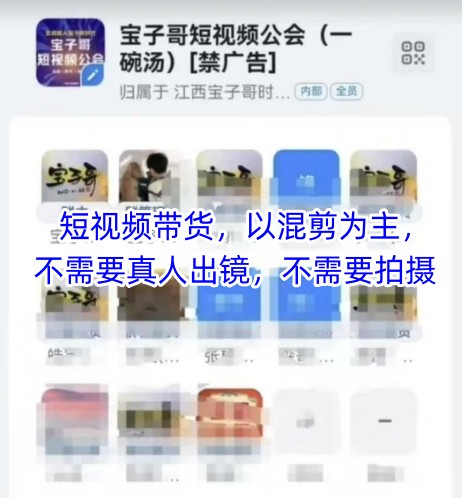 宝子哥头部团队短视频带货，以混剪为主，不需要真人出镜，不需要拍摄【更新12月】-A7徐多钱云网创