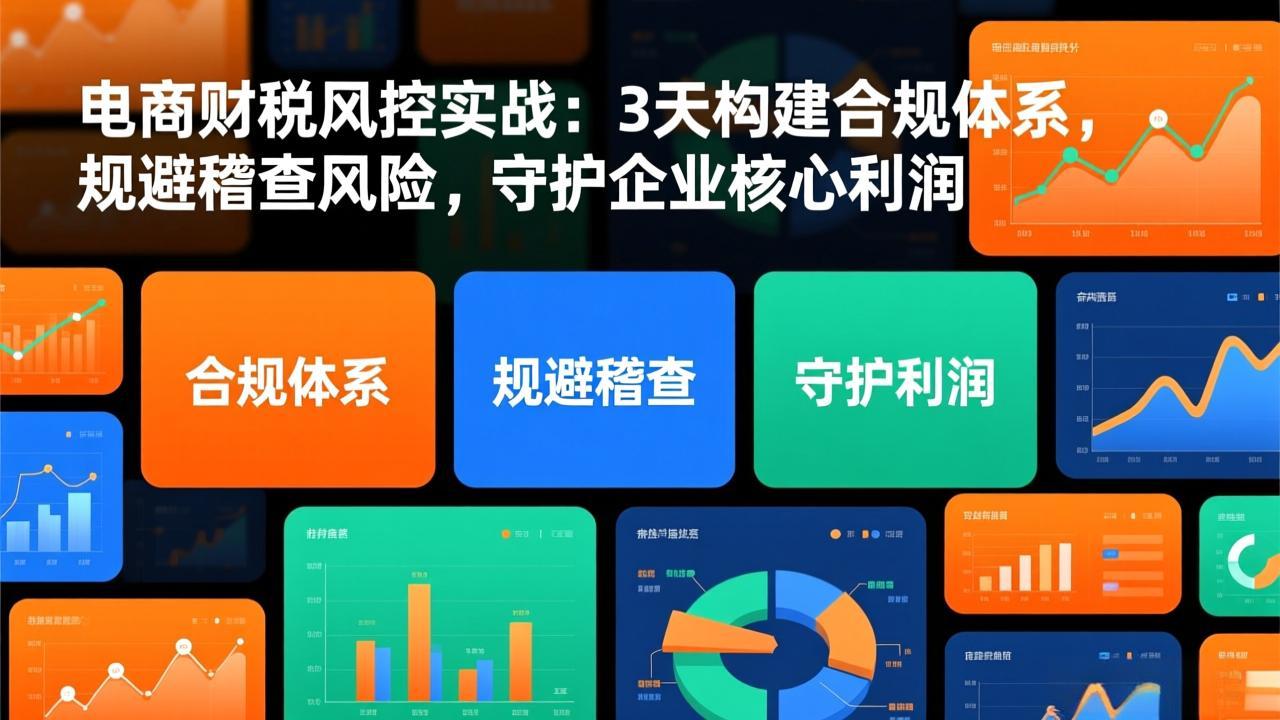 电商财税风控实战：3天构建合规体系，规避稽查风险，守护企业核心利润-A7徐多钱云网创