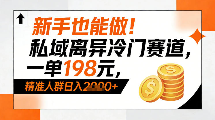新手也能做！私域离异冷门赛道，一单198，精准人群日入1k+-A7徐多钱云网创